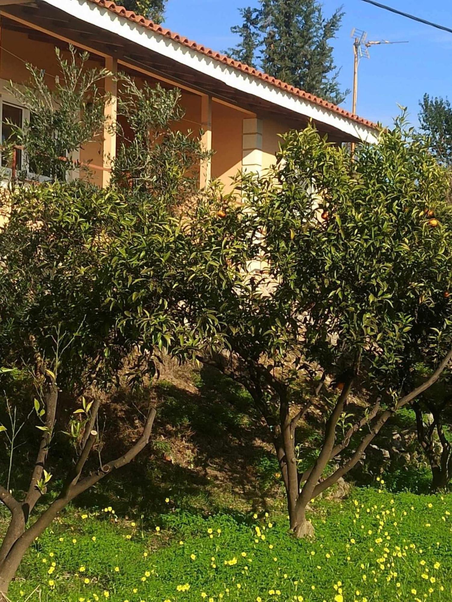 Takis & Eirini Family Apartments Перама Экстерьер фото